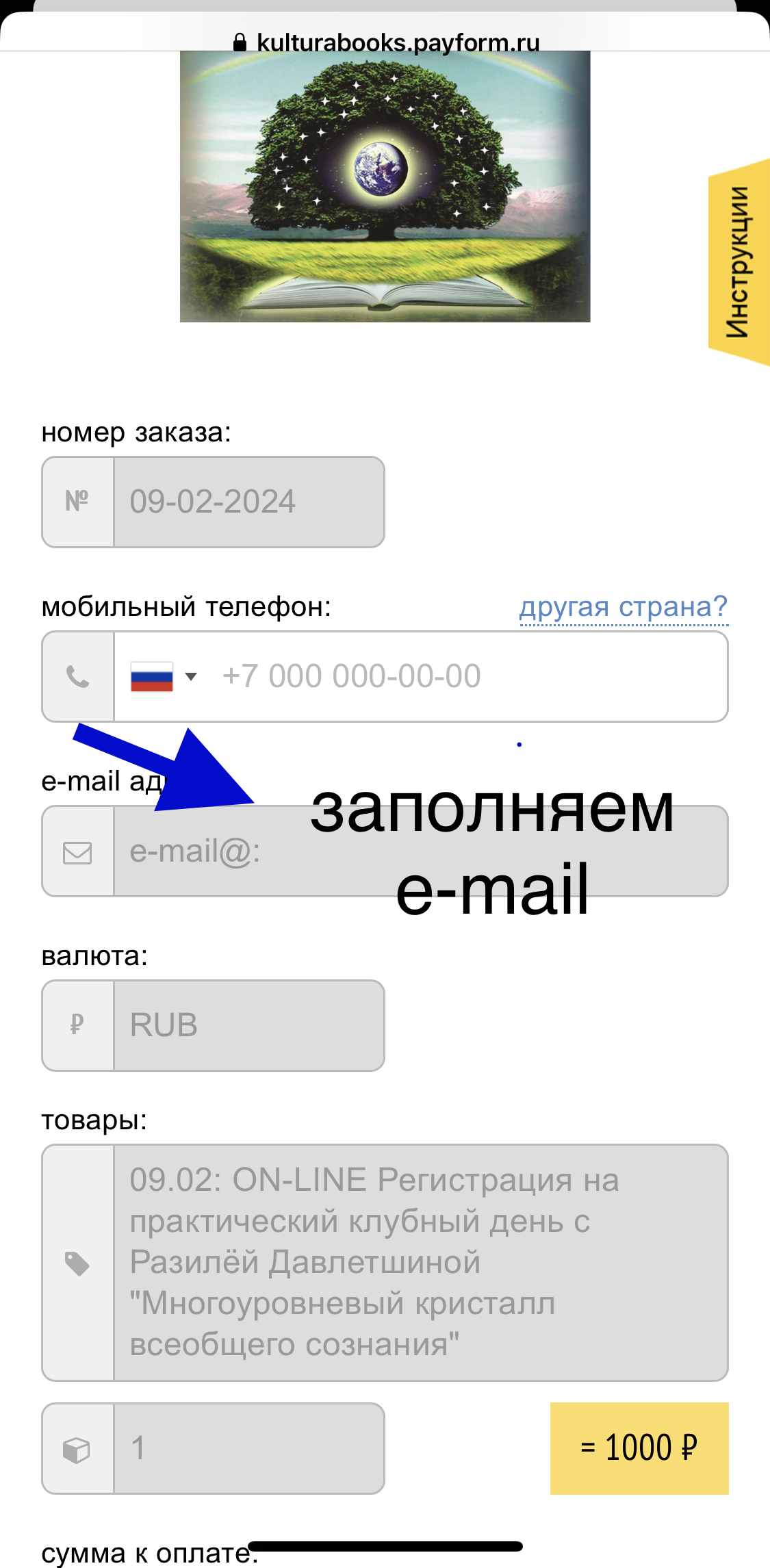 нажимаем "ОПЛАТИТЬ" и заполняем e-mail